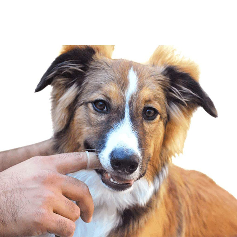 Pet finger toothbrush