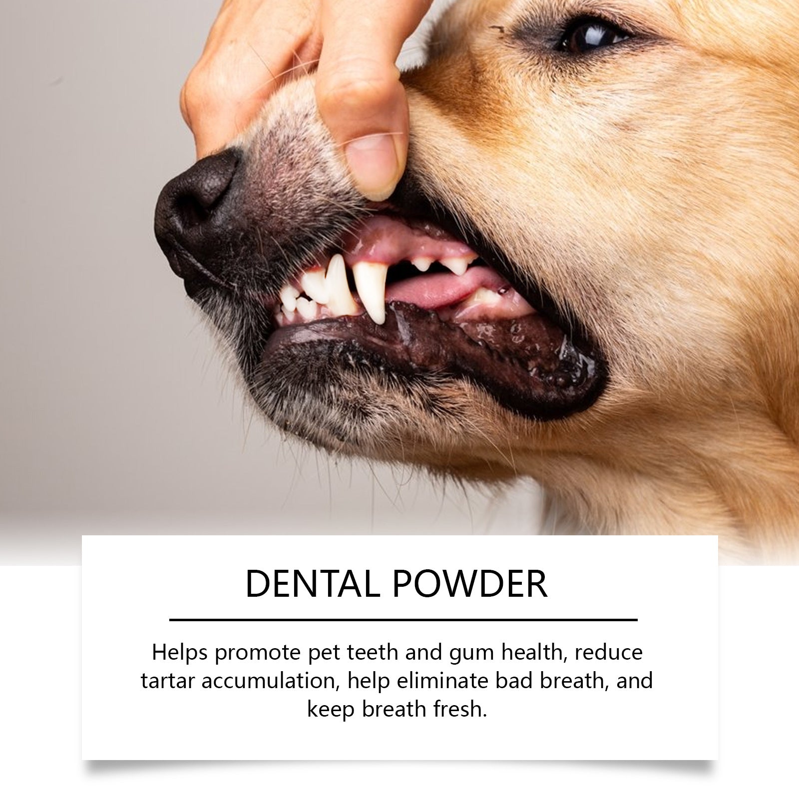 Dog Teeth Cleaning Powder for Tartar and Fresh Breath