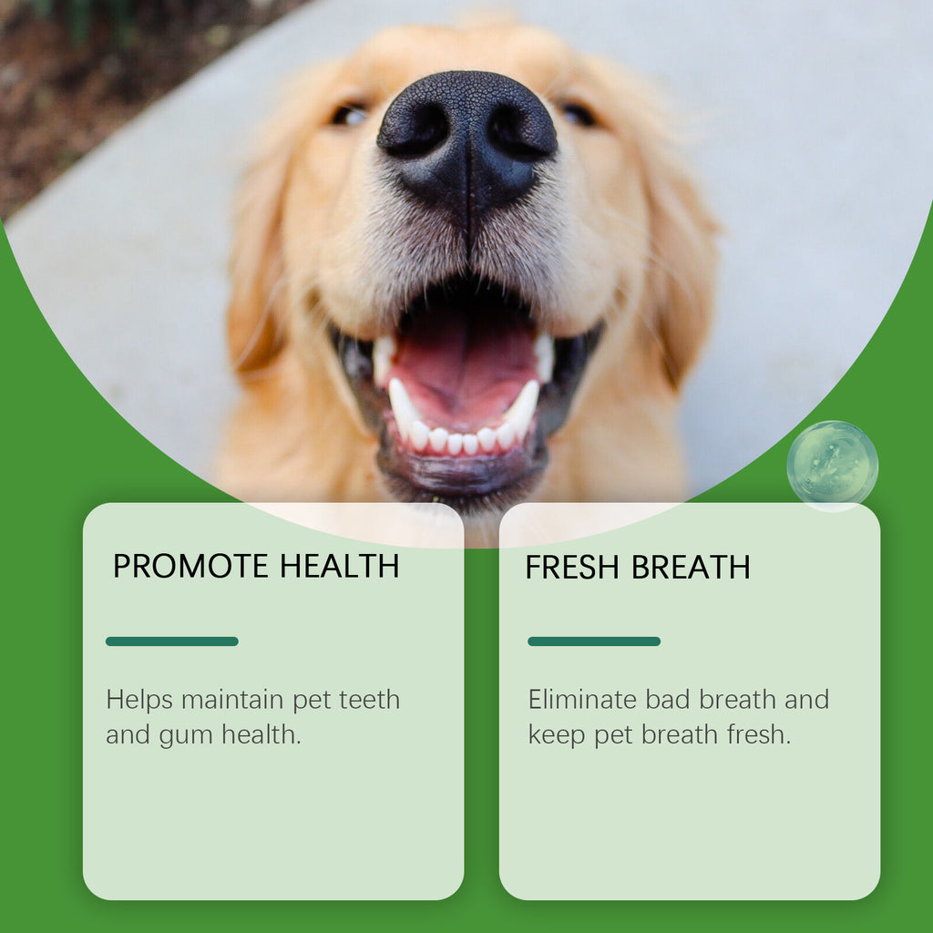 Dog Teeth Cleaning Powder for Tartar and Fresh Breath