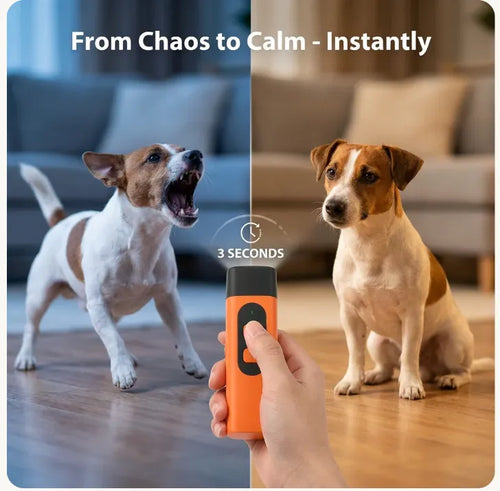 Anti-Barking Device
